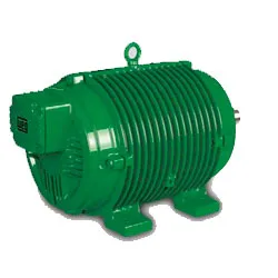 Motor WEG Roller Table